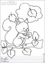 coloriage-ecureuil-2